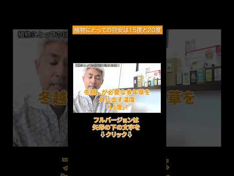 地面に砂糖を入れてもいいですか？植物にとって良いのでしょうか？あなたを驚かせる5つのヒント！  庭園