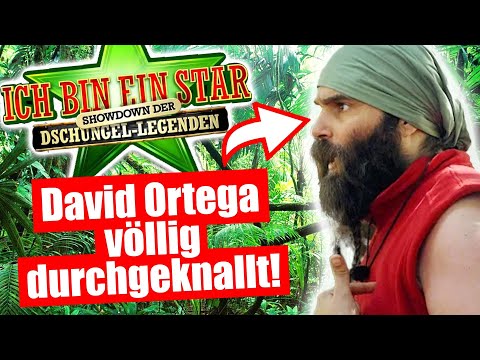 Dschungelcamp 2024: DAVID ORTEGA VÖLLIG DURCHGEKNALLT?!