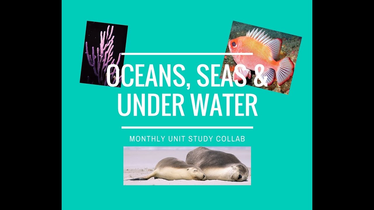 Unit Study Collab | Oceans, Seas & Underwater