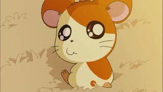 Download lagu Hamtaro OST - Melody of the Evening Glow (30 minutes loop for Relaxing Music!) mp3