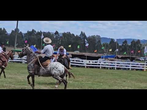 Aigua - Maldonado - Uruguay 
