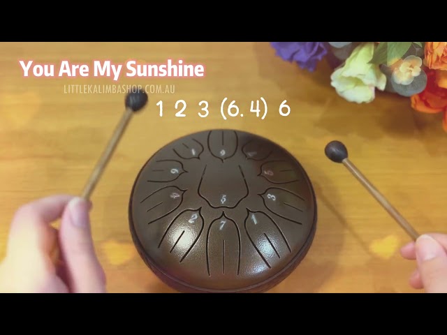 Vídeo relacionado con CAHAYA Tambor De Lengüeta De Acero De 6 Pulgadas Con 8 Notas, Libro De Música, Mazas De Tambor, Dedales Y Bolsa De Transporte Turquesa, CY00372-1