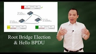 How STP Elects Root Bridge with Hello BPDU?