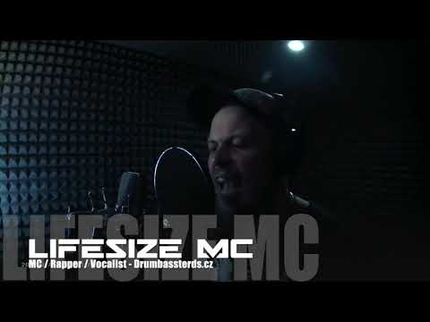 LifeSize MC Quick DnB Freestyle
