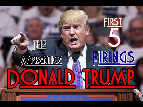 Donald Trump The Apprentice to President Boardroom Clips  Season 1 Episodes 1 thru 5