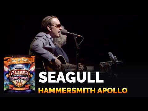 download lagu mp3 mp4 Joe Bonamassa Seagull Live, download lagu Joe Bonamassa Seagull Live gratis, unduh video klip Joe Bonamassa Seagull Live