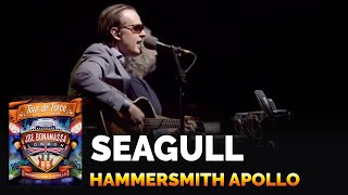 Joe Bonamassa - Seagull - Live at the Hammersmith Apollo