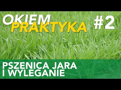 Dla członka kremu Co zrobić, gdy jego mały penis