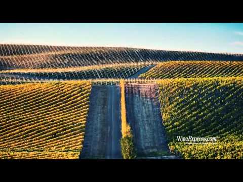 download lagu mp3 mp4 Yealands Estate Single Vineyard Sauvignon Blanc 2016, download lagu Yealands Estate Single Vineyard Sauvignon Blanc 2016 gratis, unduh video klip Yealands Estate Single Vineyard Sauvignon Blanc 2016