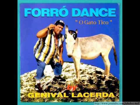 O Gato Tico video