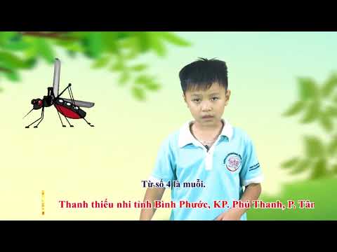 TỪ VỰNG TIẾNG ANH VỀ CÁC LOẠI CÔN TRÙNG