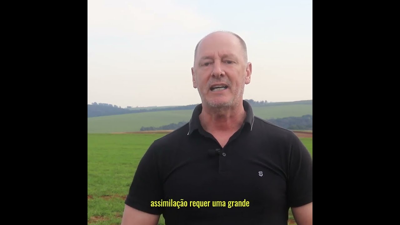 Interação entre herbicidas e nitrogênio em cereais de inverno