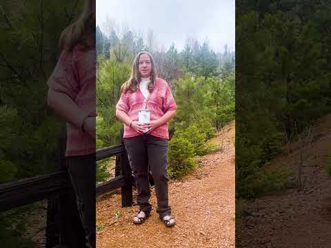 Who Can Benefit from Diversus Health's Mental Health Counseling Services?