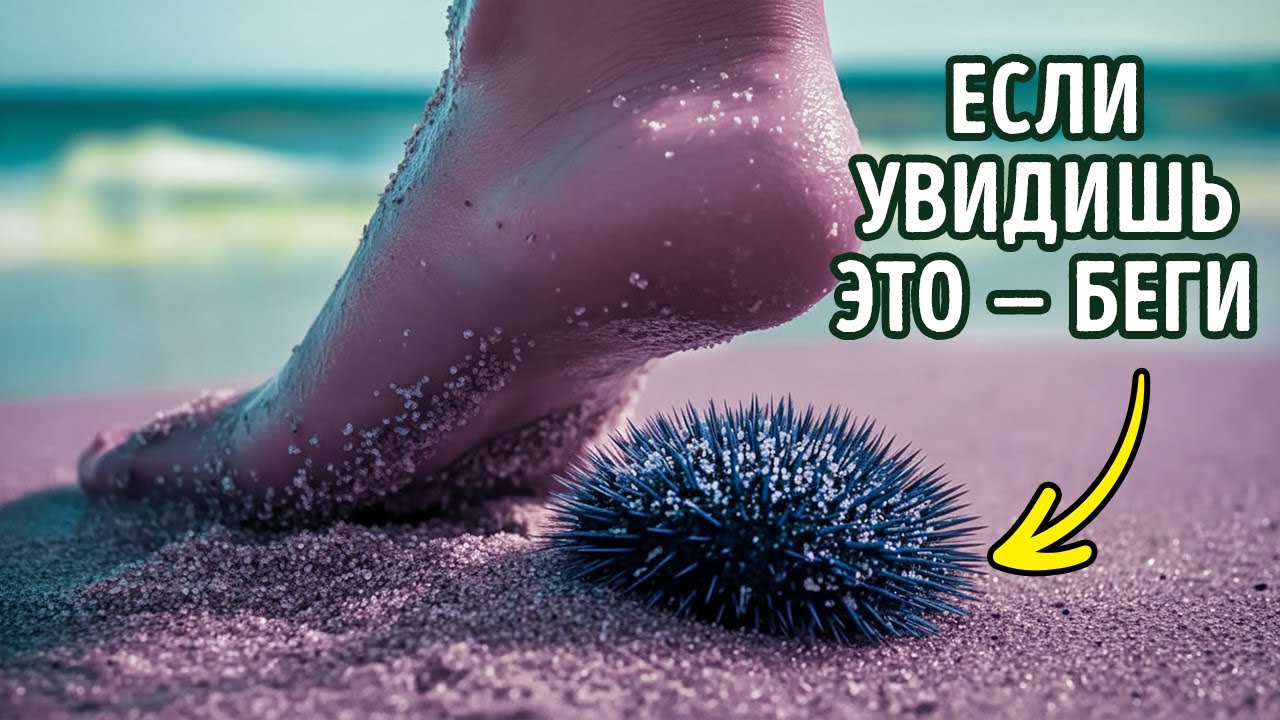 Океан скрывает это: самые странные морские существа, в которые сложно повери