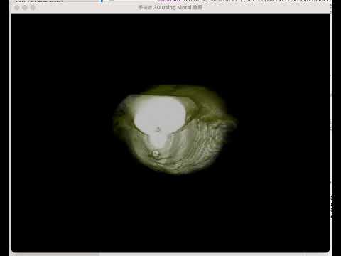 保健学科 volume rendering using raycast in Apple Metal