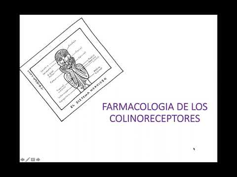 Colinérgicos