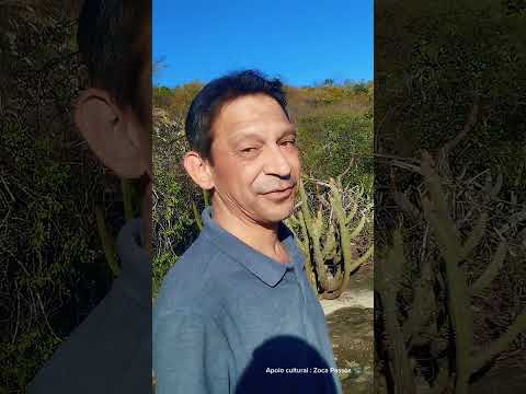 A família Delgado de Cotegipe Bahia, recordando  uma história, sobre suas raízes 😃