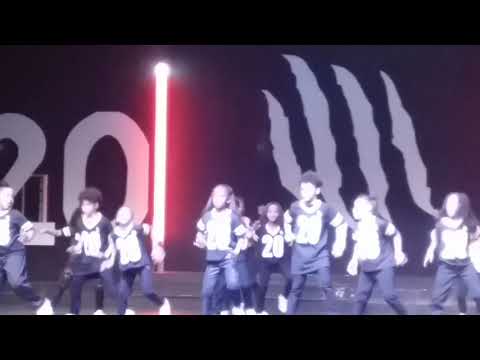 Cat Choreography dance show 2018