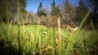 Sigur rós - Illgrési (with English subtitles)