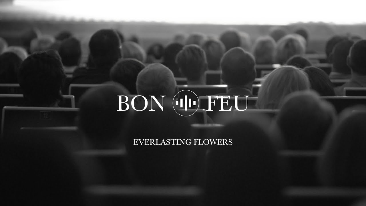 Everlasting Flowers