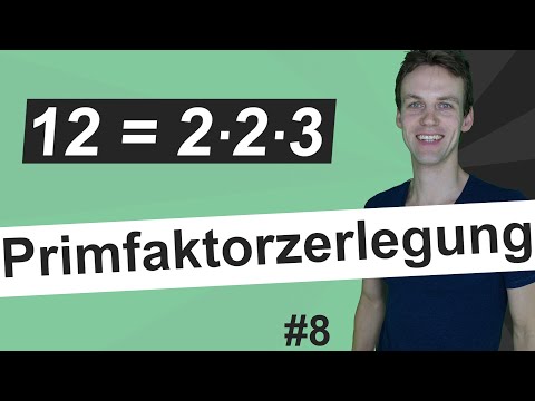 Primfaktorzerlegung - schwieriges Wort, leicht erklärt | Natürliche Zahlen #8