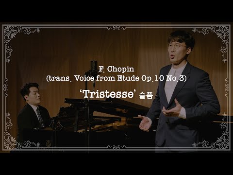 [Track 04-4] 슬픔 F. Chopin 'Tristesse' (trans. Voice from Etude Op.10 No.3)