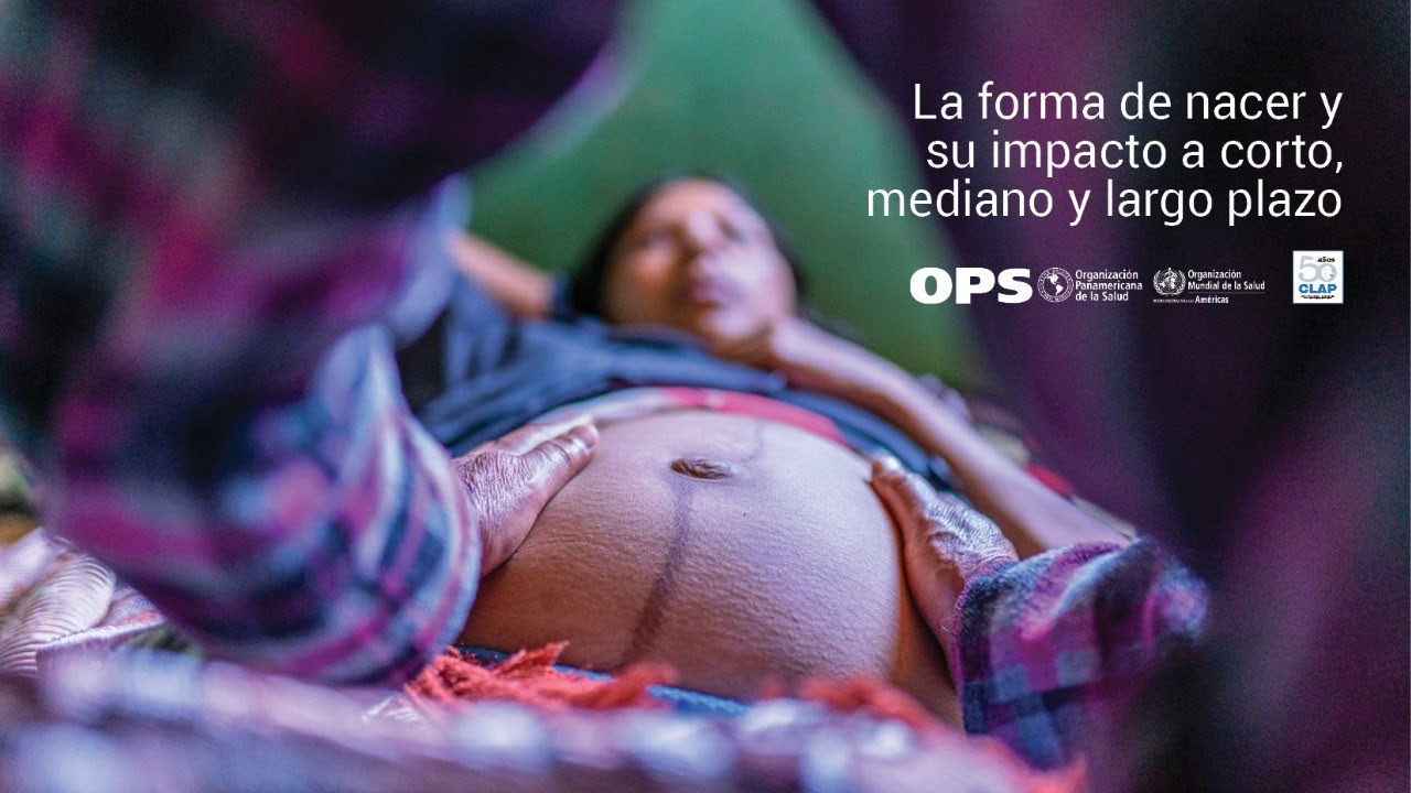 Adriana Viridiana Quintana Sánchez-5