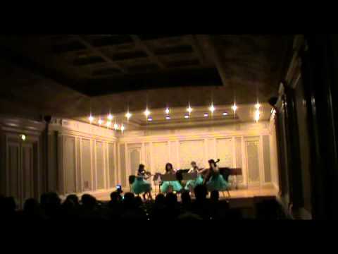 SERBAN NICHIFOR: Transylvanian Bluegrass