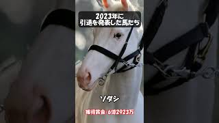 2023年に引退を発表した馬たち　 #競馬 #動物  #ウマ娘