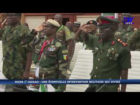 NIGER // CEDEAO : une éventuelle intervention militaire qui divise