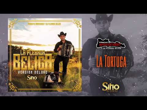 Panchito Arredondo - La Tortuga (Estudio 2018)