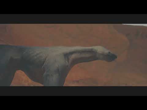 STAR WARS Jedi: Survivor part 28