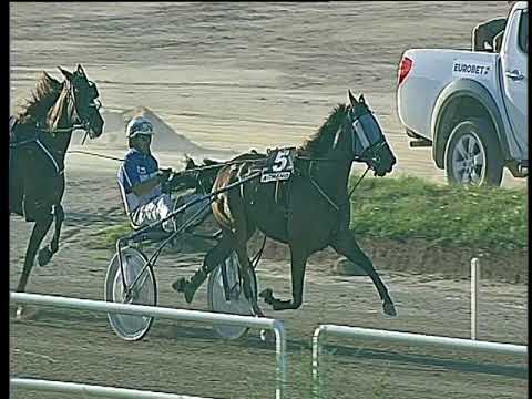 Trotto 17/09/2017 - 7ª corsa