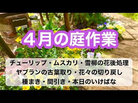 初霜から庭を守るための効果的で安価な 4 つの方法!  庭園