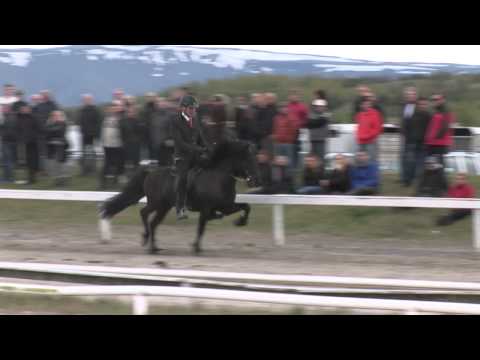 Sjóður frá Kirkjubæ - yfirlit Hafnarfirði 2014