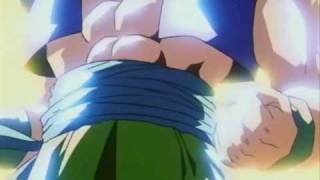 Dragonball Z - Invincible Adelitas Way