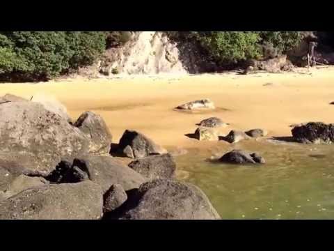 glorious beach at Breaker Bay, Kaiteriteri, New Zealand (7-21-16)