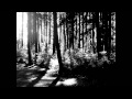 Forest Of Shadows- Deprived 