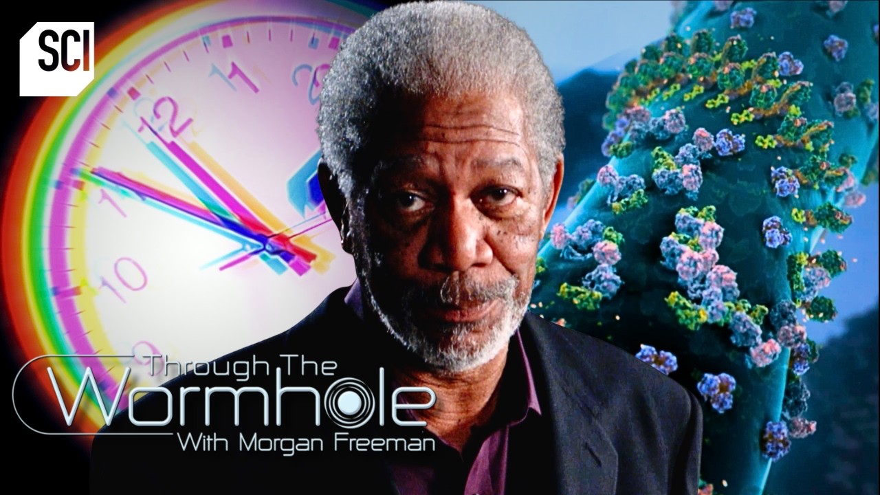 WATCH NOW 🔴 7+ HOURS of Exploring Cosmic Questions | Through the Wormhole