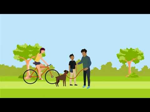 ChurchNet News - What is BEMER in Under 2 Minutes