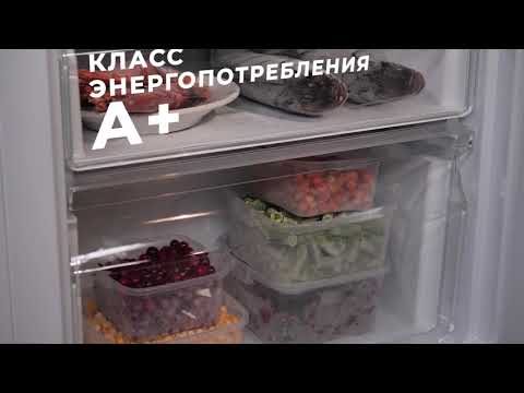 Обзор холодильника Maunfeld MFF176SFW, MFF176SFSB Обзор холодильника Maunfeld MFF176SFW, MFF176SFSB