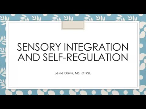 CEID Connect: Sensory Integration & Self-Regulation