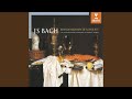 Brandenburg Concerto No. 1 in F Major, BWV 1046: I. —