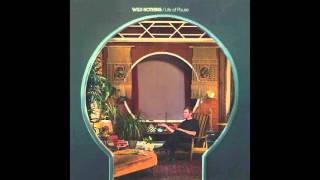 Wild Nothing // A Woman&#39;s Wisdom (Official Single)