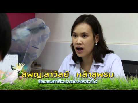การรักษาความอ่อนแอออนไลน์ หนึ่งที่จะไปกับความอ่อนแอ