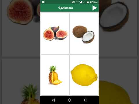 Fruits and Vegetables in Tamil Video