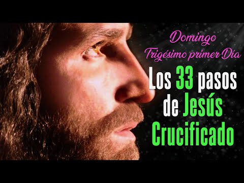 31° DÍA DOMINGO| LOS 33 PASOS DE JESÚS CRUCIFICADO