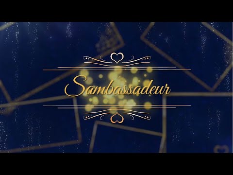 SAMBASSADEUR - Subtle Changes