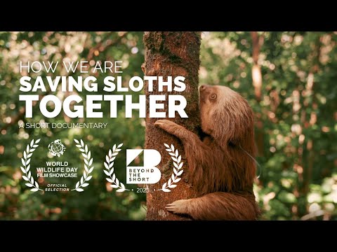 Saving Sloths Together