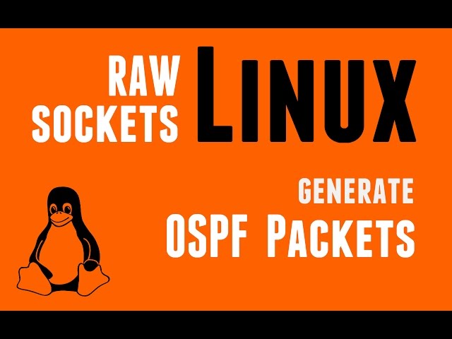 Linux RAW Sockets - Generate OSPF Packets